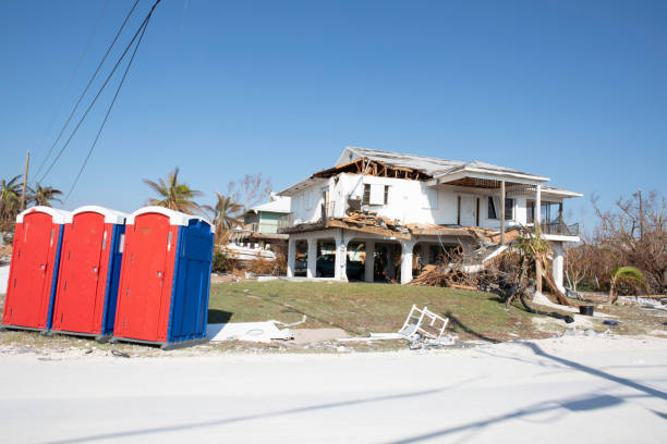Best Tree Removal  in Great River, NY